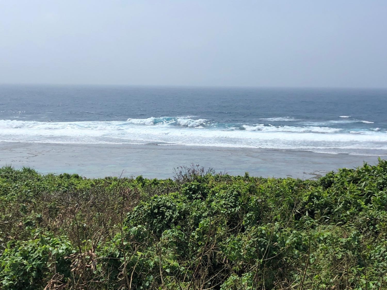 8月11日（日）スーサイド波情報 2