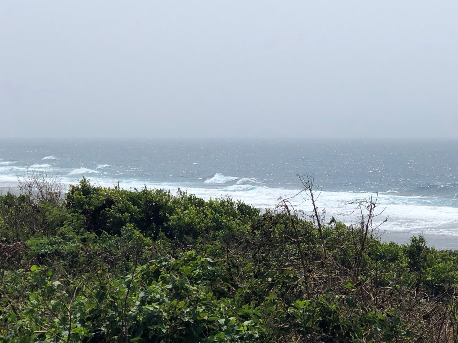 8月11日（日）スーサイド波情報 4