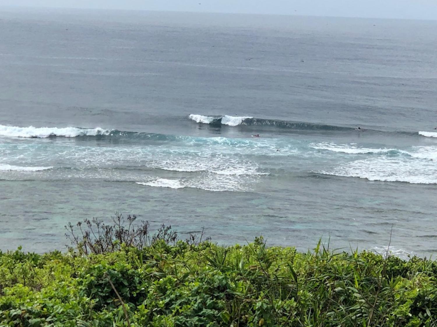 2019 Aug 17th suicide point wave information