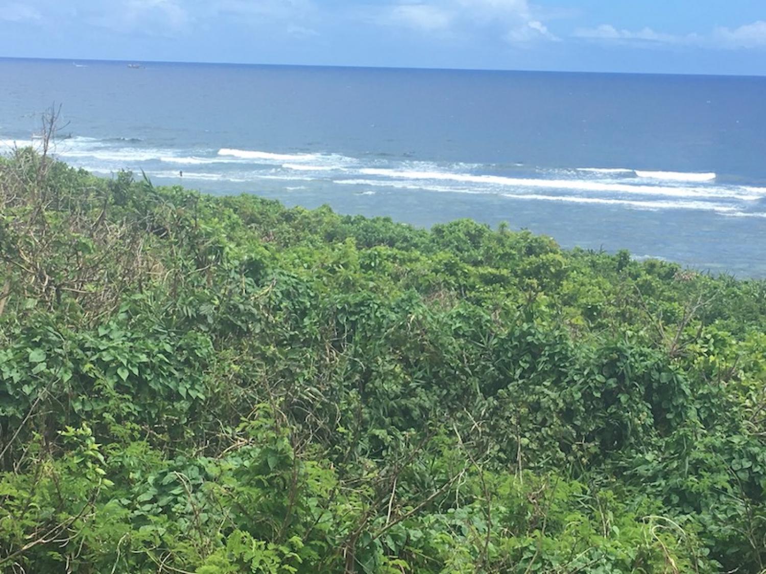 2019 Aug 22th suicide point wave information