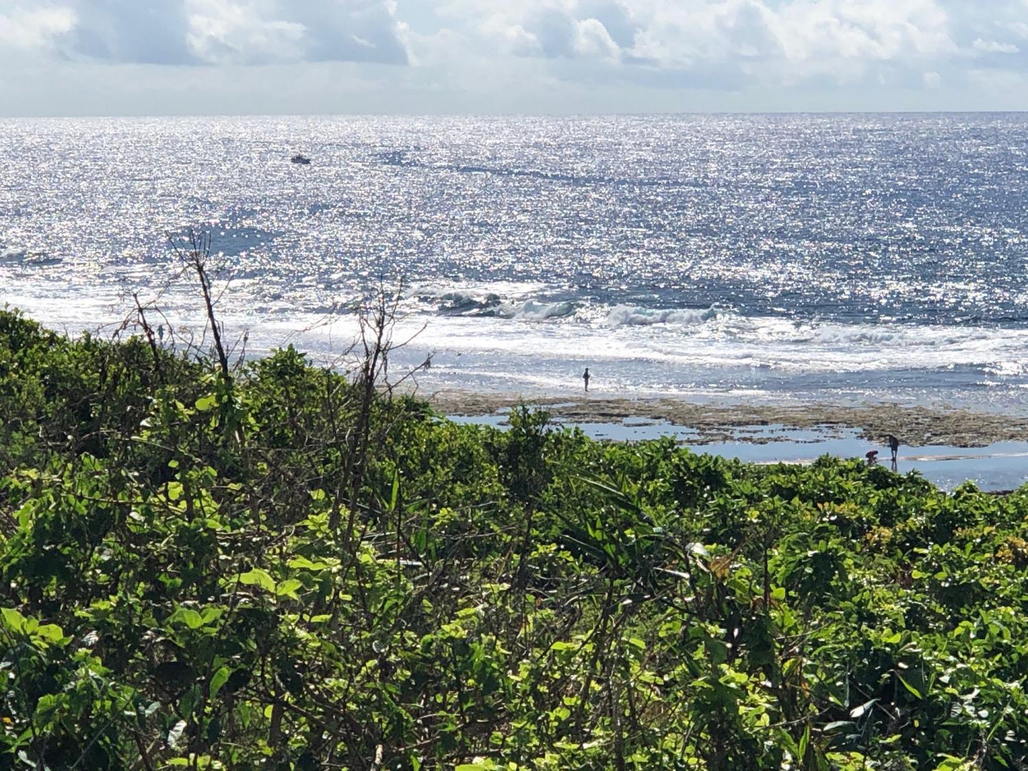 2019 Aug 26th suicide point wave information 2