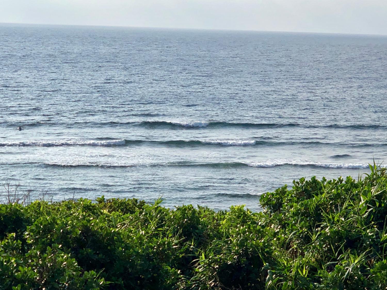 2019 Oct 28th suicide point wave information