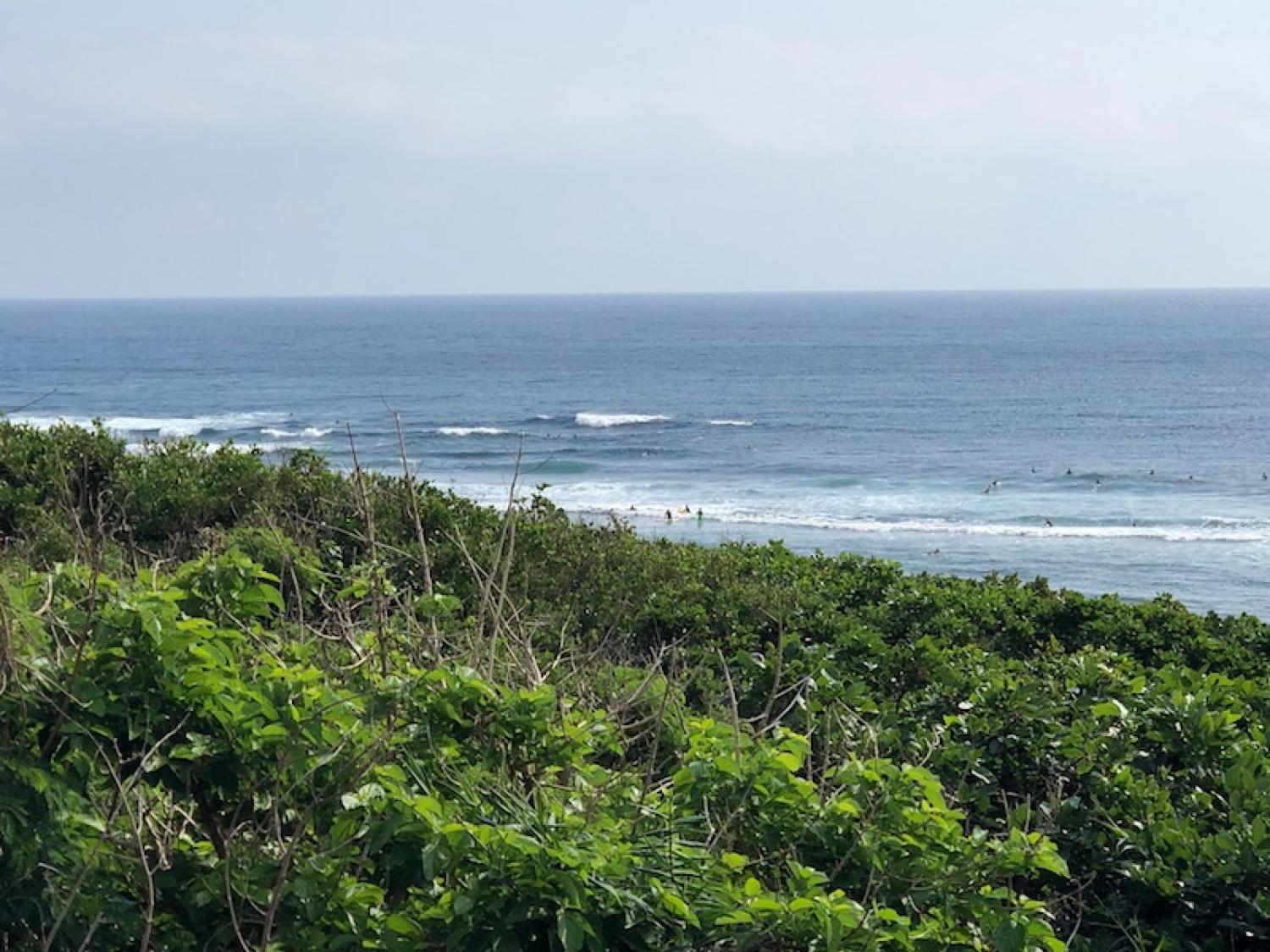 2019 Nov 1st suicide point wave information