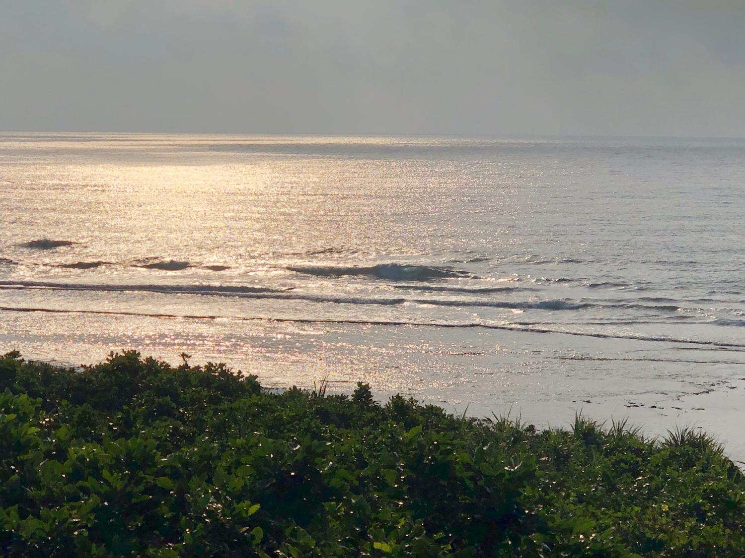 2019 Nov 3rd suicide point wave information