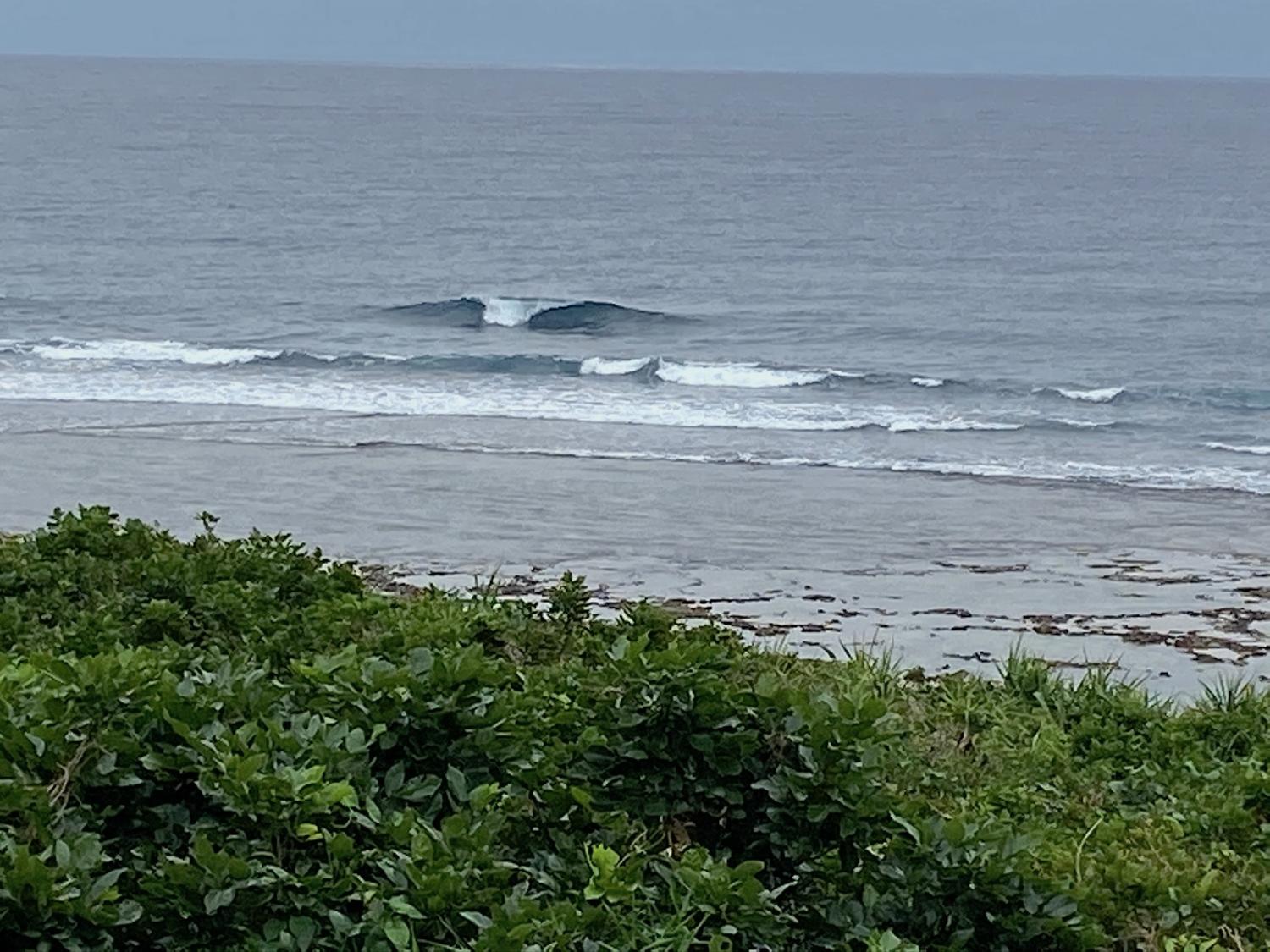 2019 Nov 8th suicide point wave information