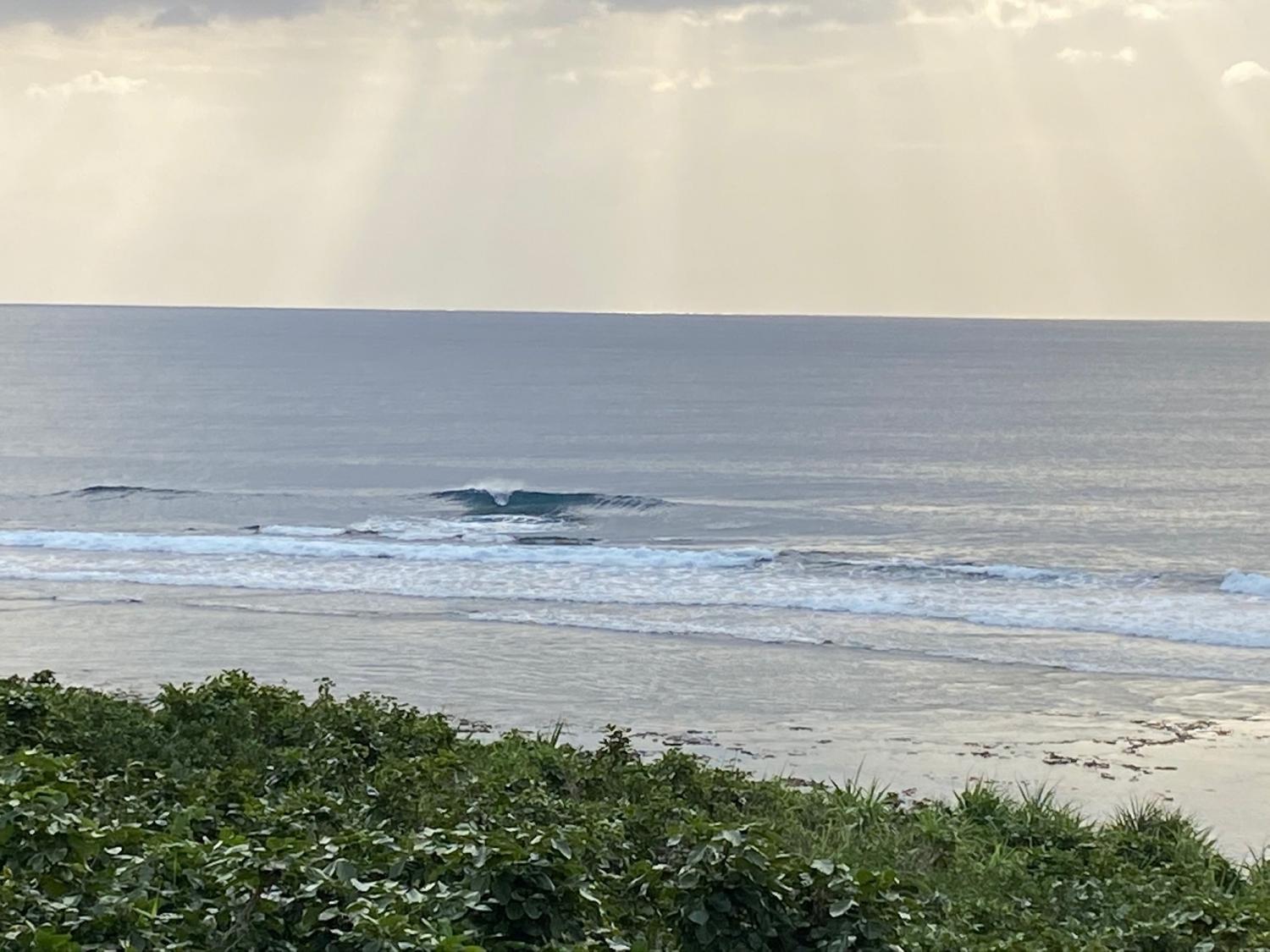 2019 Dec 3rd suicide point wave information