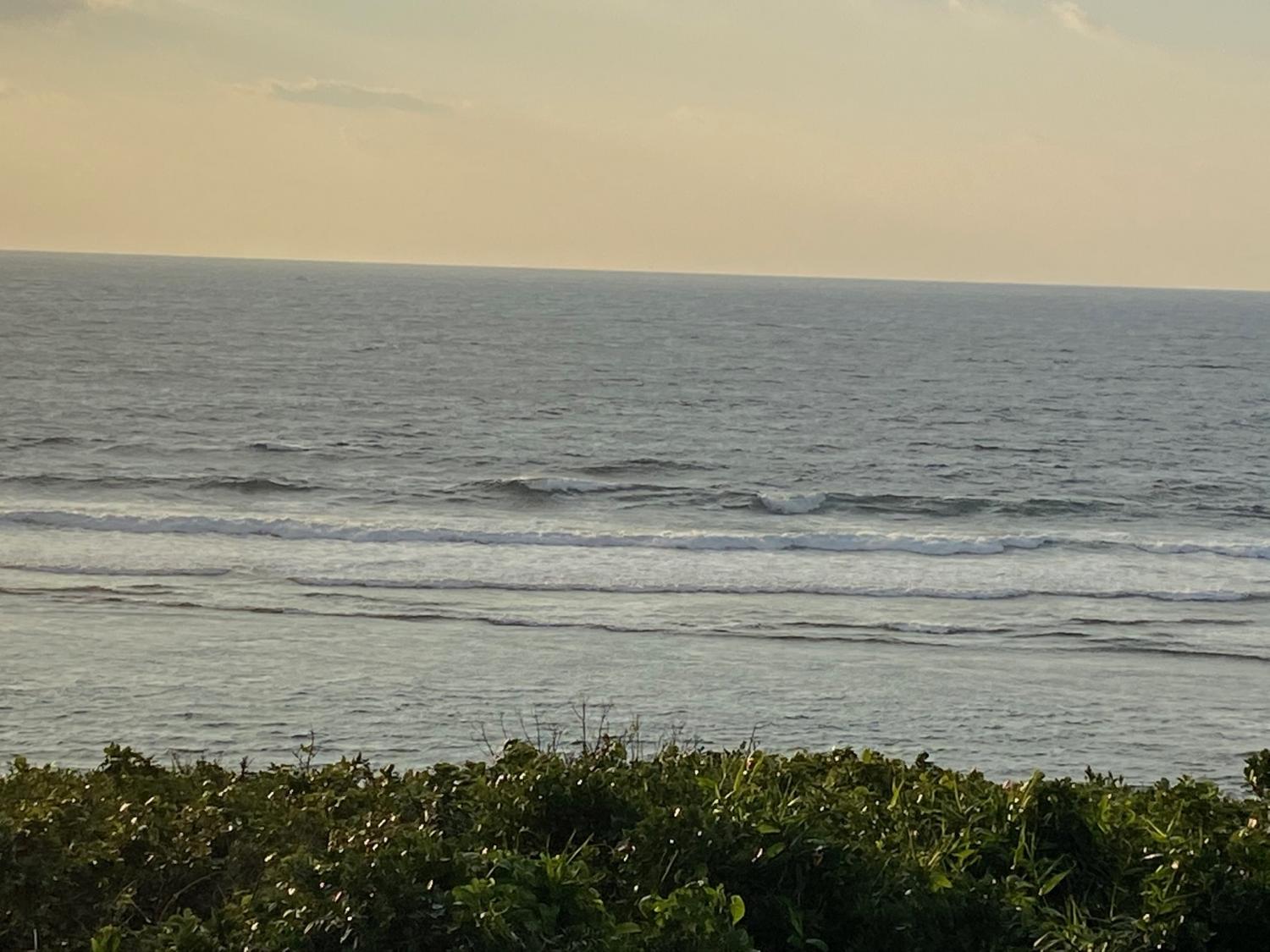 2019 Dec 10th suicide point wave information