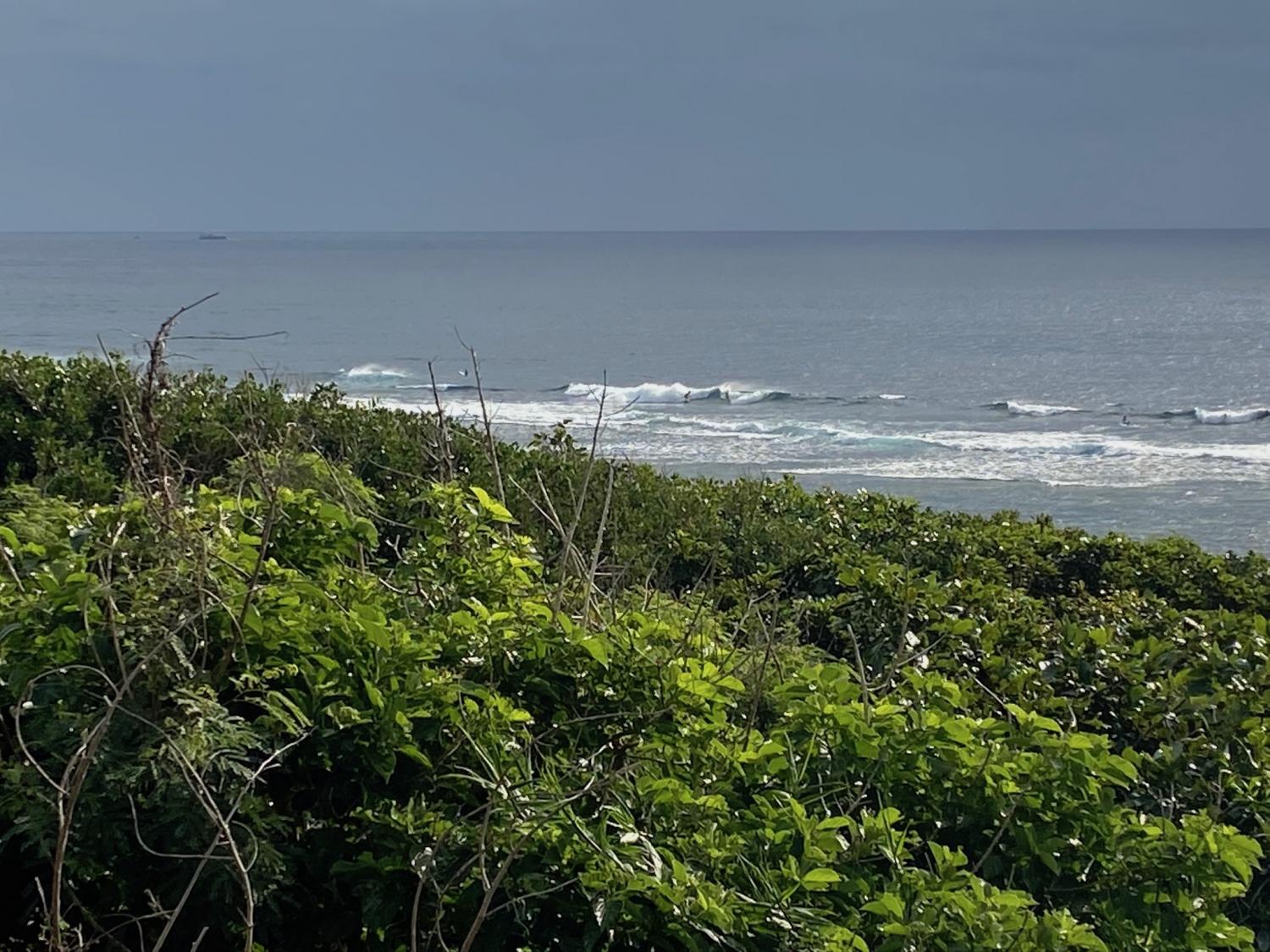 2019 Dec 14th suicide point wave information