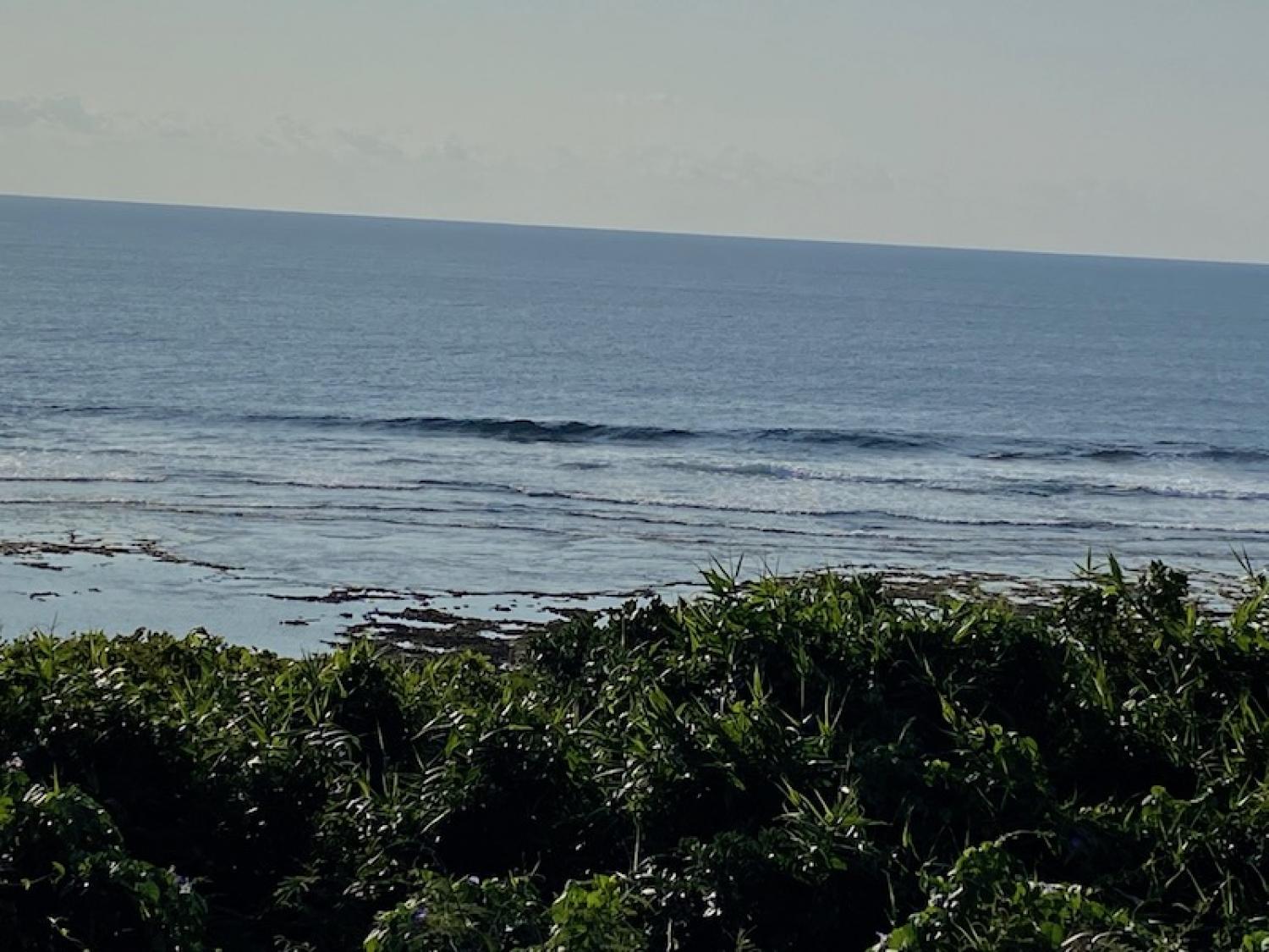 2020 Jan 4th suicide point wave information