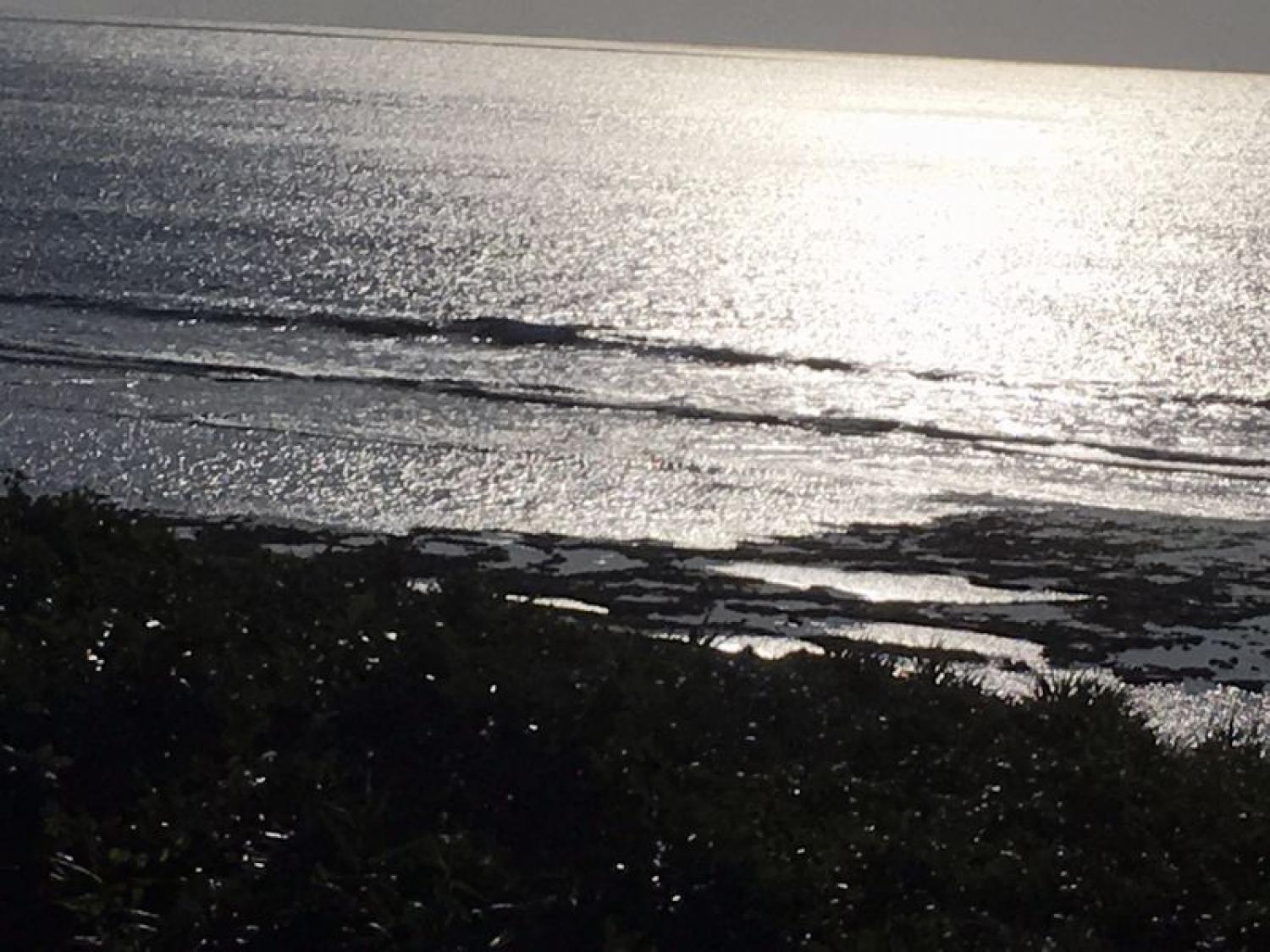 2020 Jan 5th suicide point wave information