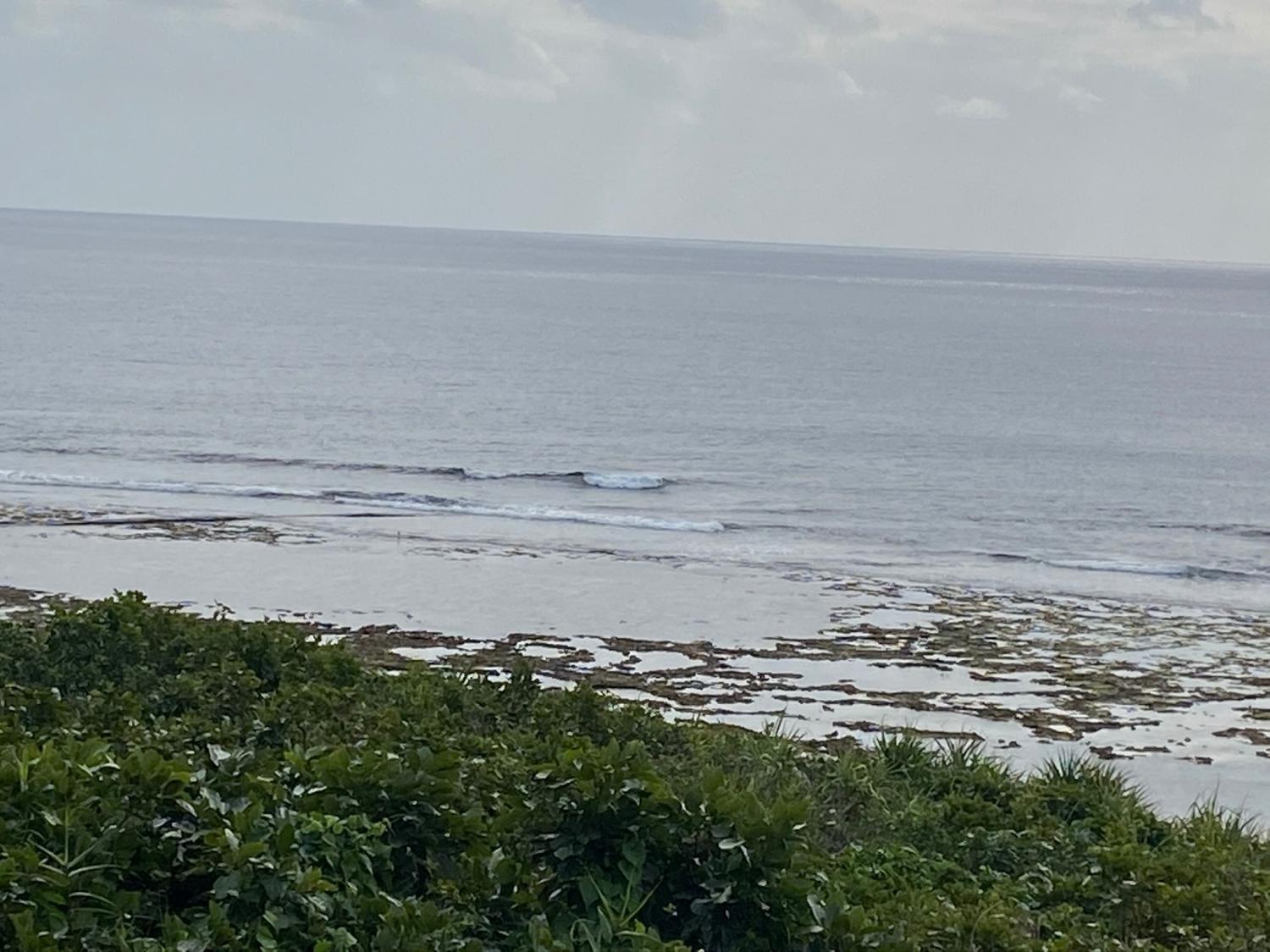 2020 Jan 9th suicide point wave information
