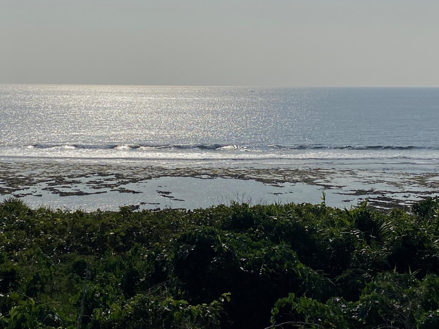 2020 Jan 21th suicide point wave information