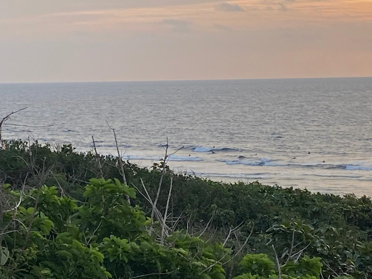 2020 Jan 23th suicide point wave information