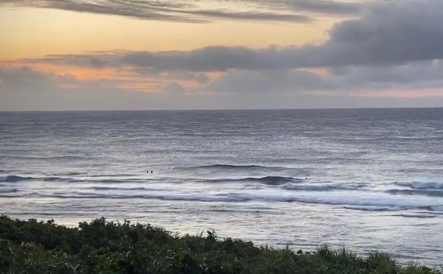 2020 Jan 27th suicide point wave information