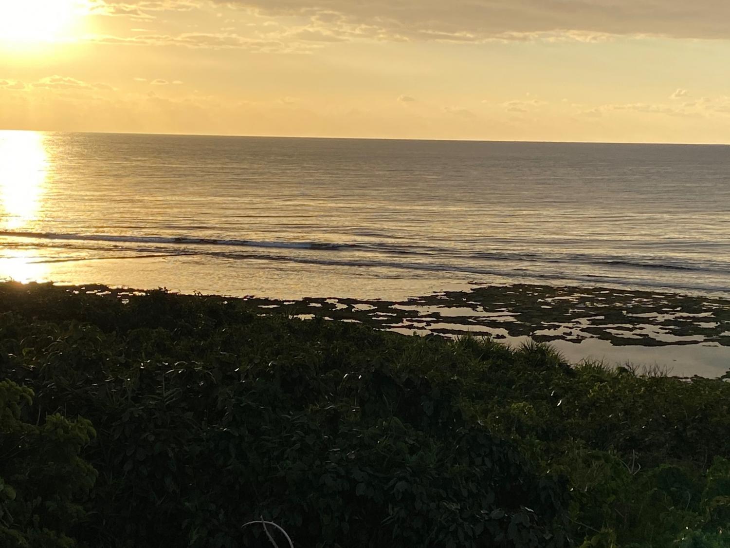 2020 Jan 1st suicide point wave information