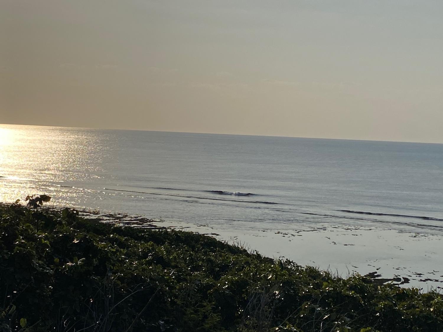 2020 Mar 16th suicide point wave information