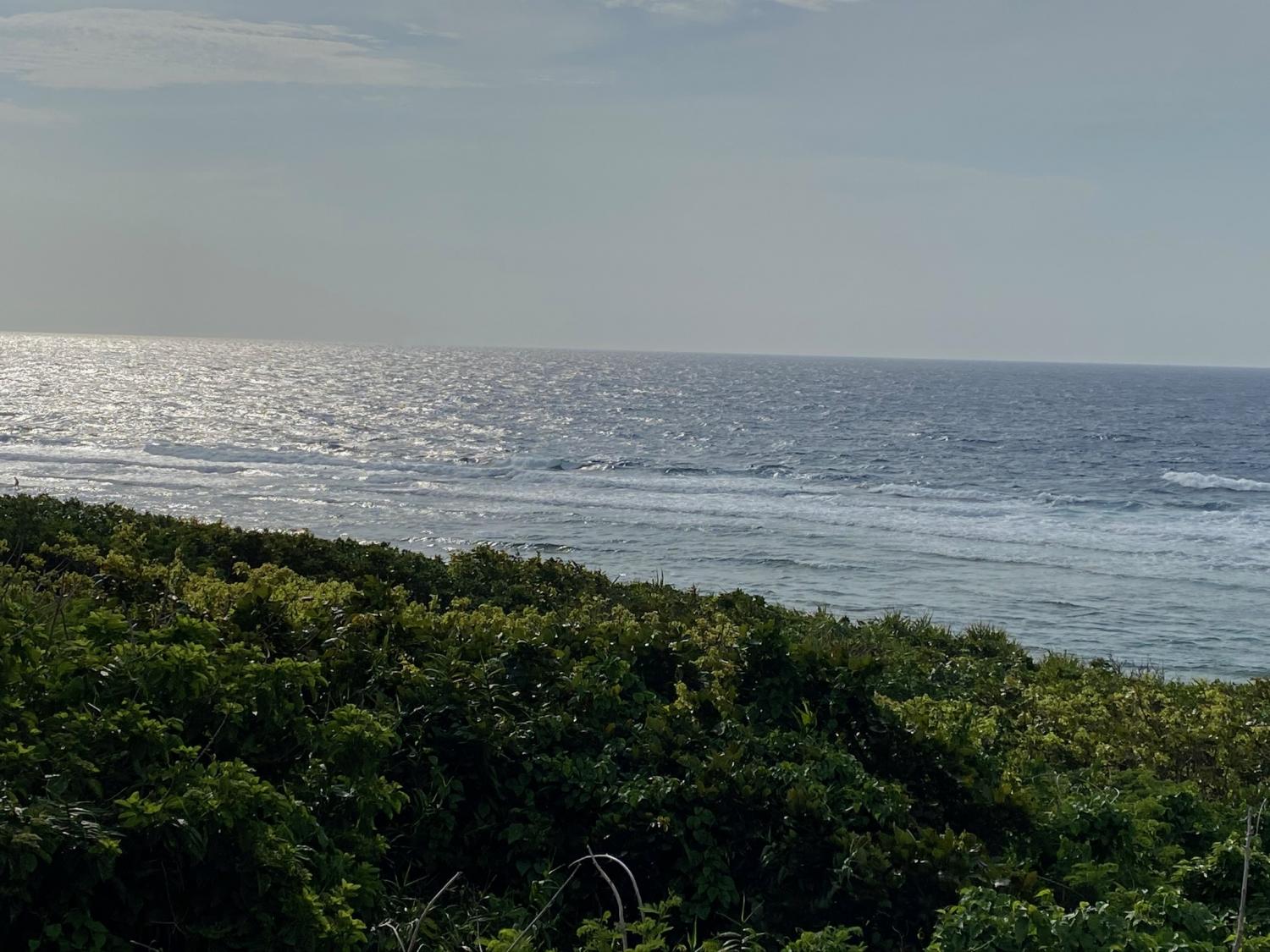 2020 Mar 27th suicide point wave information