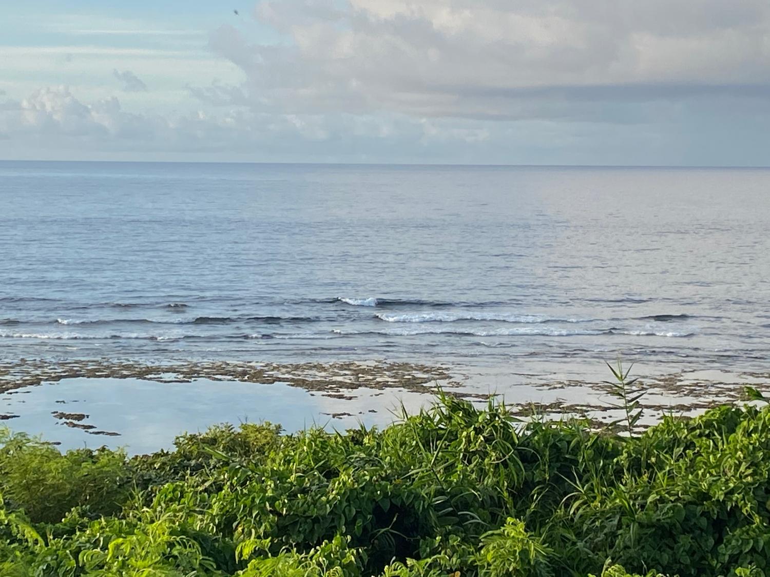 2020 Jul 12th suicide point wave information 2