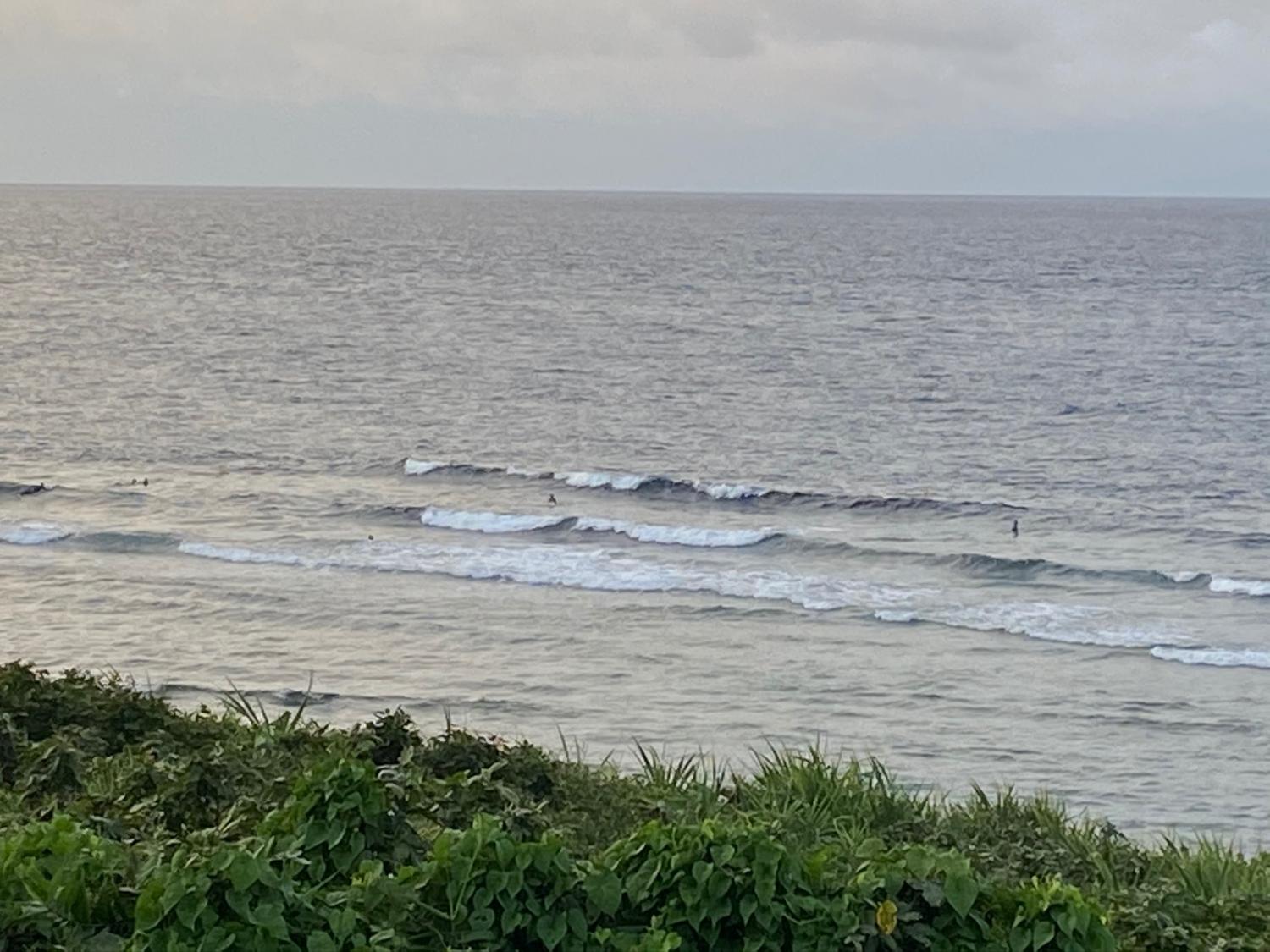 2020 Jul 18th suicide point wave information 2