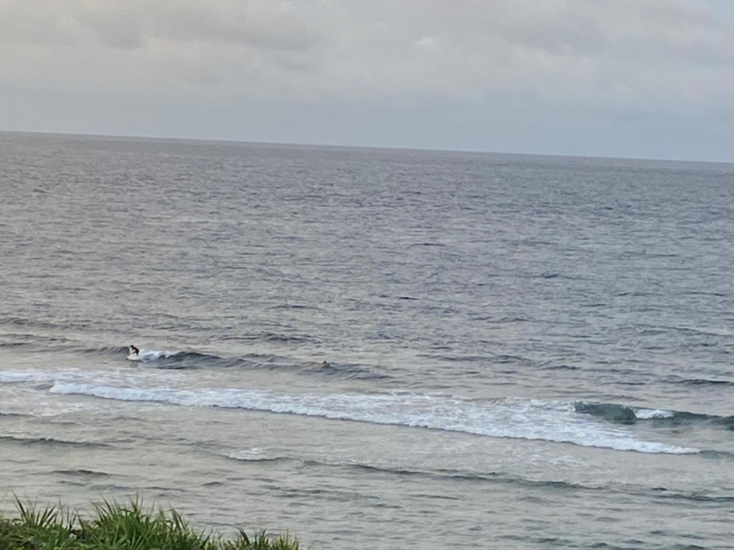 2020 Jul 18th suicide point wave information 3