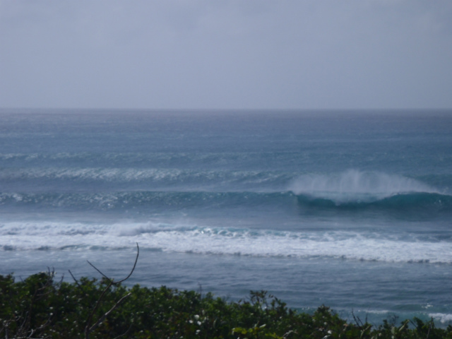 更に!サイズアップです。