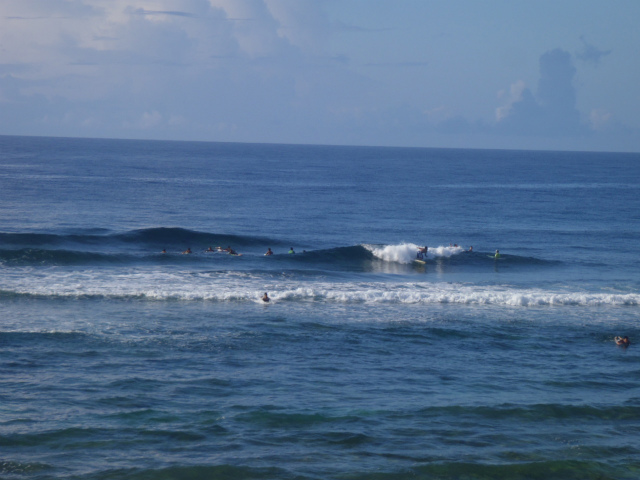 面ツル 膝~腰サイズ