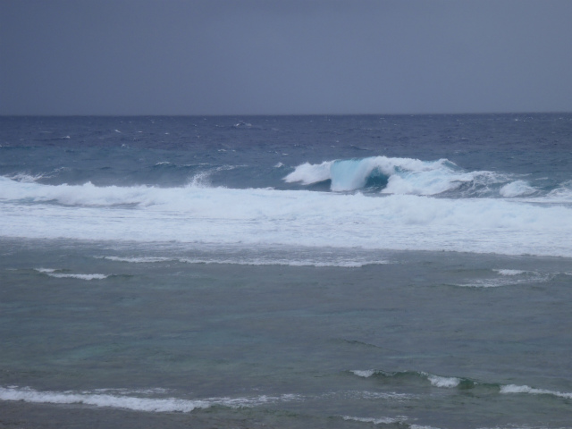 本日もクローズアウトです。