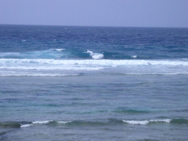 頭オーバーのハードコンディション。