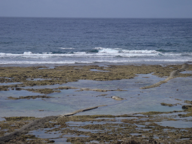 コンスタントに腰サイズ!