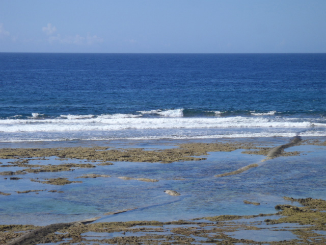 快晴!!!膝~腰サイズ