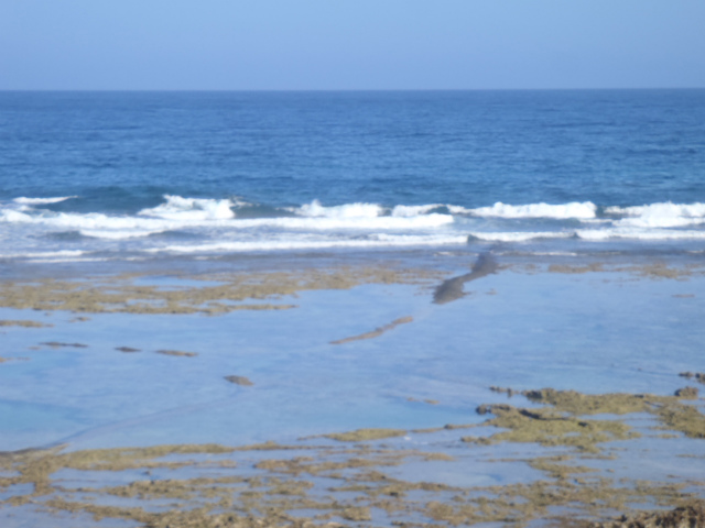 サイズアップの腰~胸サイズ!