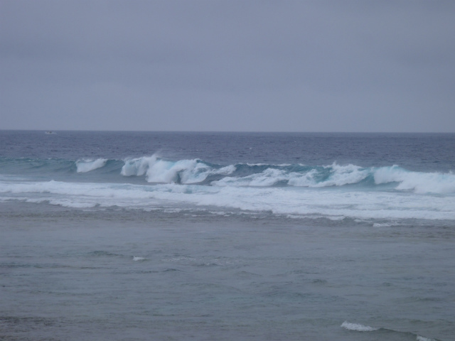 クローズアウト!