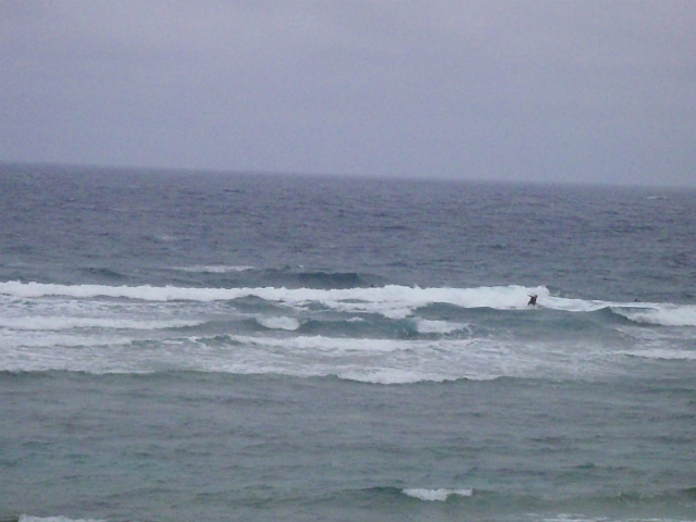 ジャンクコンディションの腰~胸サイズ