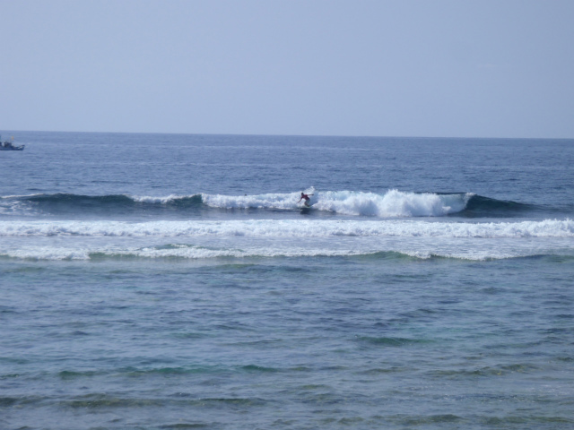 é¢ãƒ„ル♪ 胸~肩サイズ