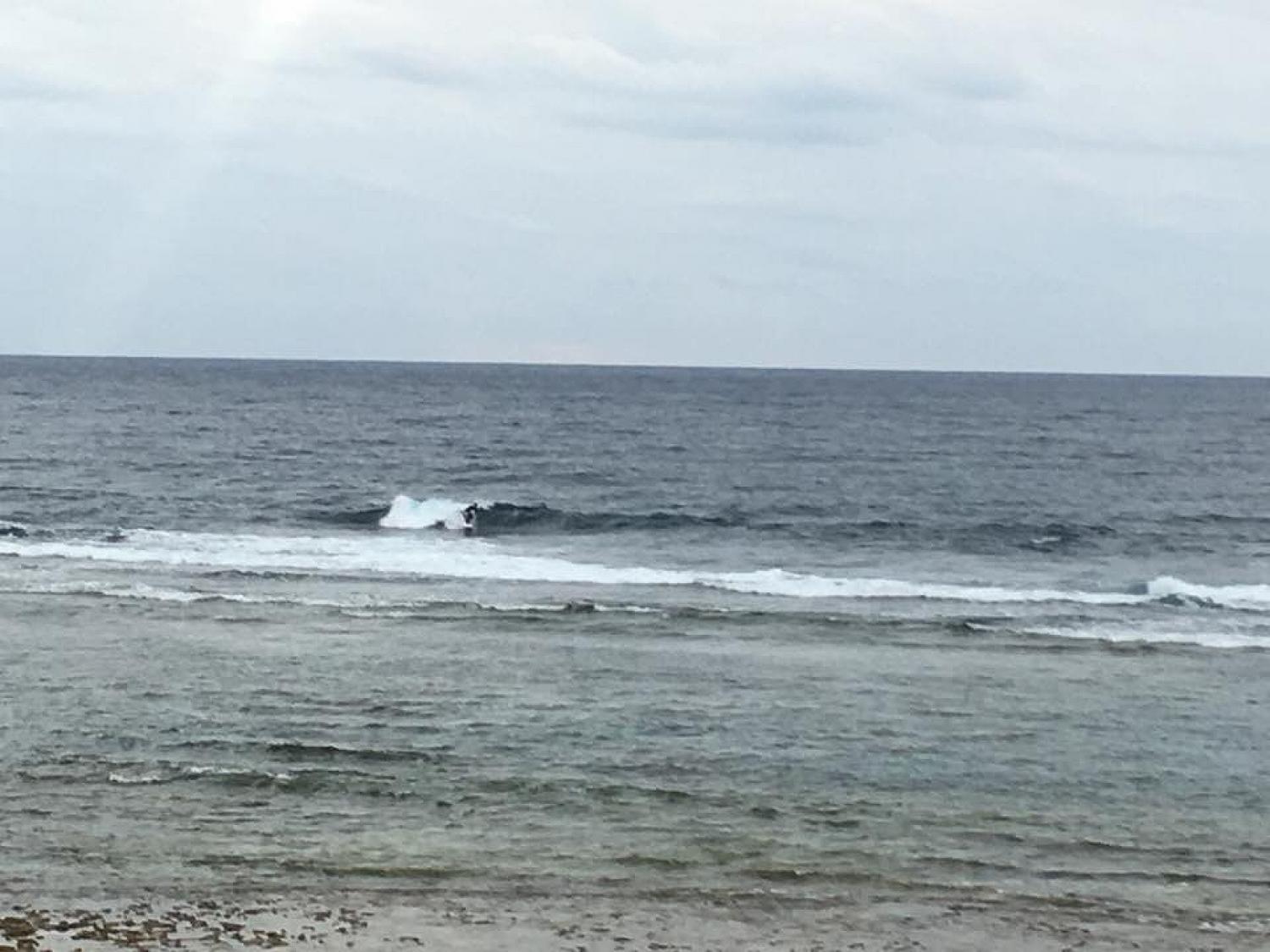 Dec 23 suicide point wave infomation 2