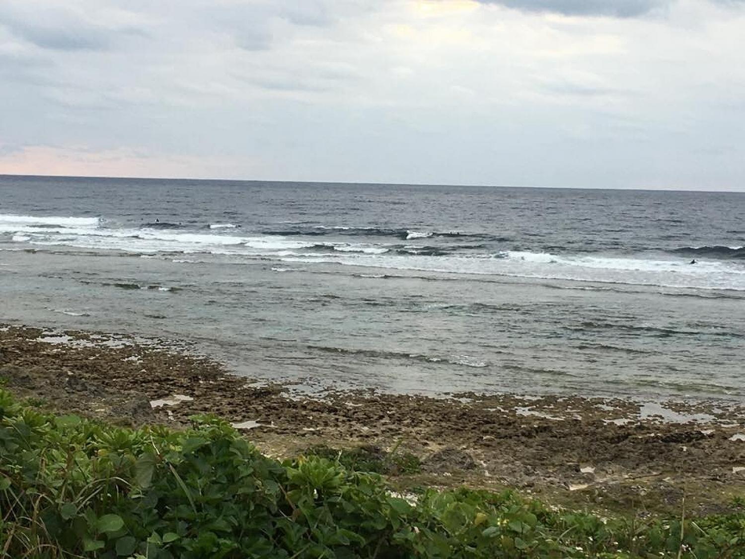 Dec 23 suicide point wave infomation 3