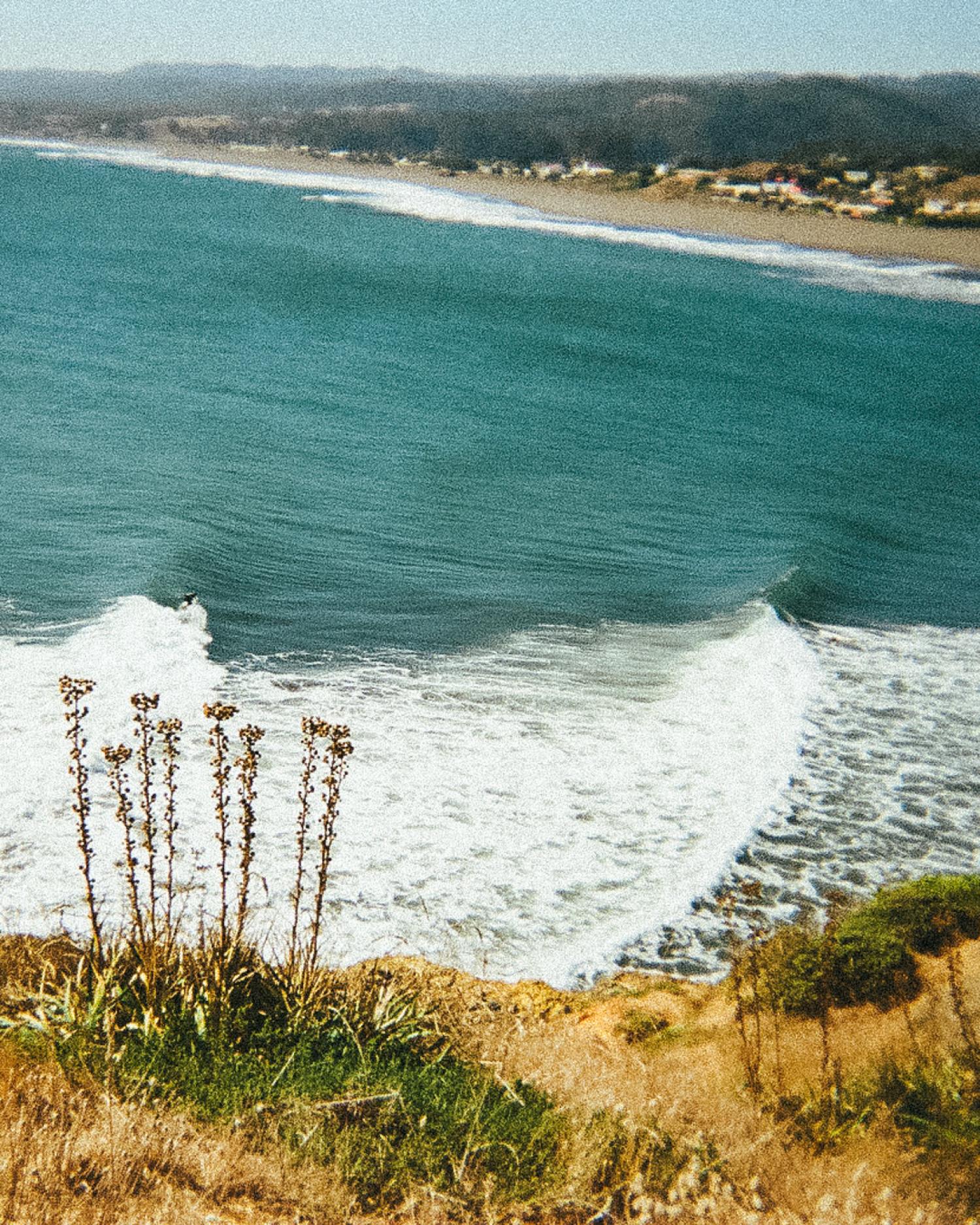 Seea 2026 SPRING第２弾近日入荷のお知らせ